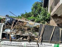 Best Dumpster Rental Services  in Buhl, ID