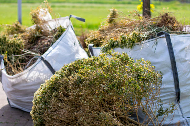 Best Construction Debris Removal  in Buhl, ID